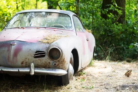 Old Car rusting in forest 写真素材