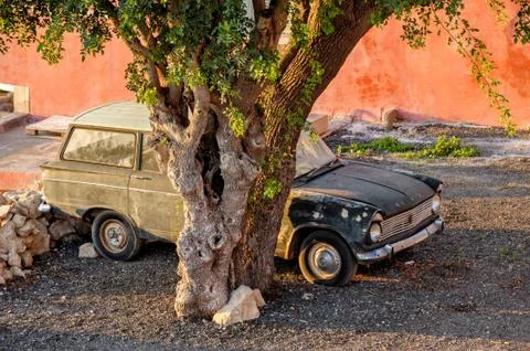 Old car under tree Stock Photos