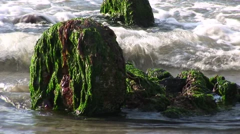 Old car wheels on drive train covered in seaweed in shallow ocean waves. Stock Footage 51505582