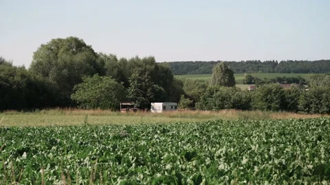 Old caravan as a permanent camper in a field Stock Footage 141468250