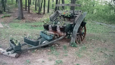 Old carriages with decorative flowers Vídeo Stock 109094054