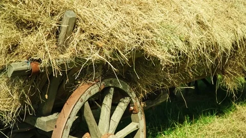 Old cart with a haystack. Stock Footage 165589239