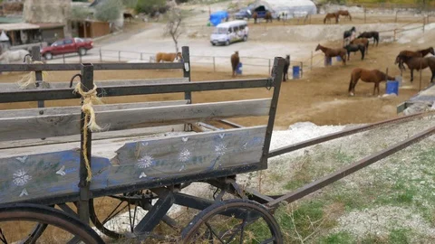 Old cart at the stable 스톡 동영상 100921931