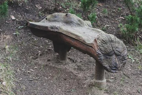Old carved bench from a tree trunk in the forest. Cracked bench. Stock Photos
