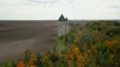A an old caslte tower in the woods. Stock Footage 163411607
