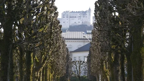 Old castle between trees of park alley Stock Footage 73960517