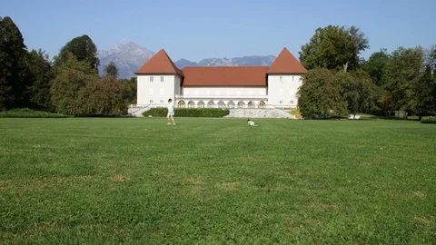 Old castle Brdo Stock Footage 87717639