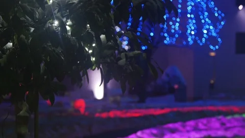 Old castle decorated with neon lights Stock Footage 87088014