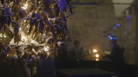 Old castle dining room Stock Footage 87091219