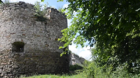 Old castle Stock Footage 24769655