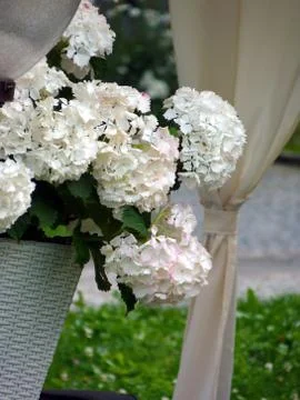 Old castle Stock Photos