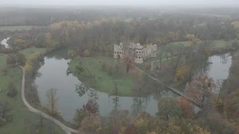 Old castle ruin in a forest Stock Footage 232484715