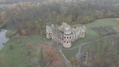 Old castle ruin in a forest Stock Footage 232484927