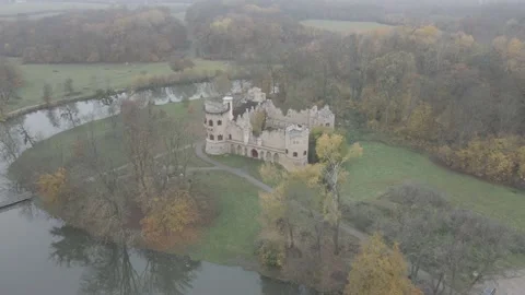 Old castle ruin in a forest Stock Footage 232485042