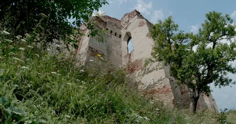 Old Castle Ruins in Forest Stock Footage 113764349