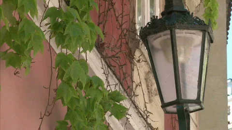 Old castle stairs Stock Footage 486506