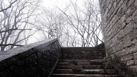 The old castle stone wall mist forest Stock Footage 171305253