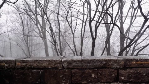 The old castle stone wall mist forest Stock Footage 171308993