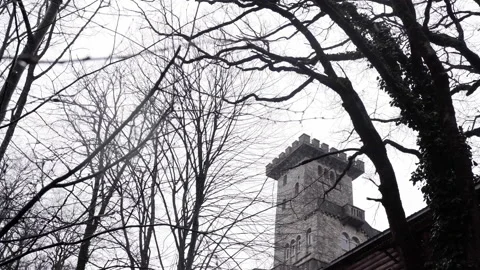 The old castle stone wall mist forest Stock Footage 171329570