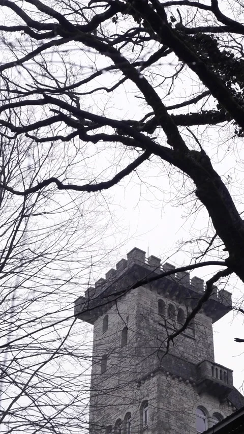 The old castle stone wall mist forest Stock Footage 171364374