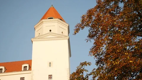 Old castle tower Stock Footage 120533672