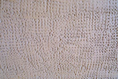 Old castle wall background. Gray cement wall with tiny dots. Latvia Bauska Ca 写真素材