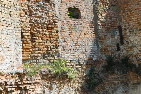 Old castle wall background Stock Photos