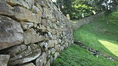 An old castle wall in forest Video stock 303398985