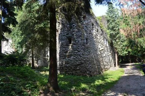 An old castle wall in the forest Stock Photos