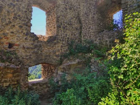 Old Castle Windows in Nature 库存照片