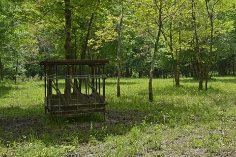 Old Cattle Feeder Stock Photos