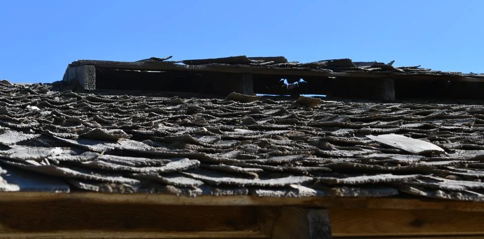 Old cedar shingles Foto stock