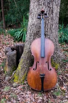 Old Cello Stock Photos