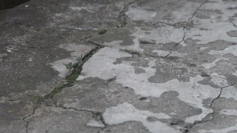 Old cement floor Stock-Footage 90684816