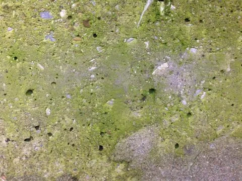 Old cement floor texture for background 스톡 사진