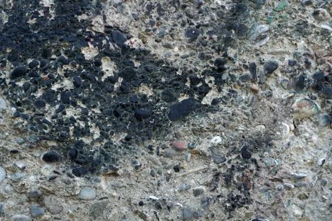 Old cement wall with pebbles Stock-Fotos