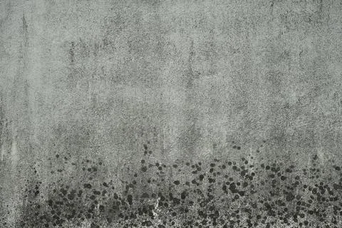 Old cement wall texture Stock Photos