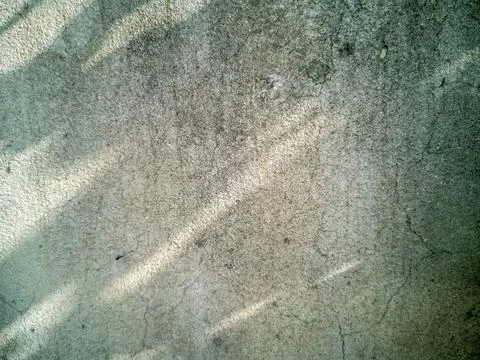 Old cement wall texture, reflection of leaves, early morning. Stock Photos