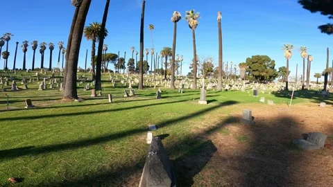 Old Cemetery 1 Video stock 151495310