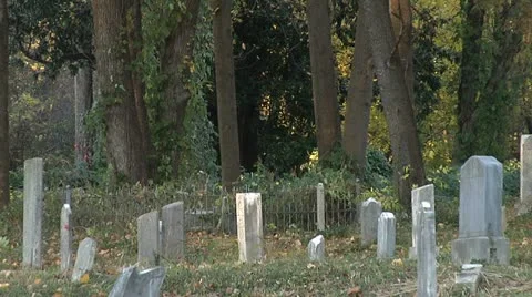 OLD CEMETERY 6 Stock Footage 11192064