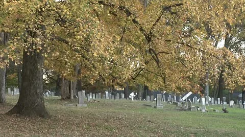 OLD CEMETERY 9 Stock Footage 11192107