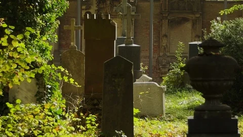 Old cemetery in autumn 2 Stock Footage 87348971