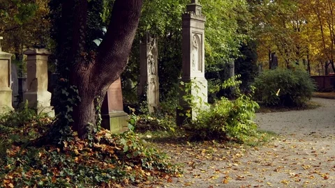 Old cemetery in autumn 5 Stock Footage 87371012