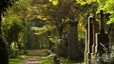 Old cemetery in autumn Stock Footage 87662280