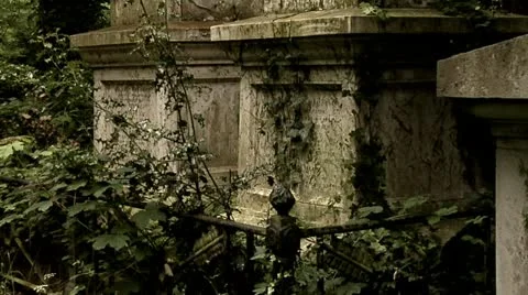 Old Cemetery, Borough of Hackney Stock Footage 10804981