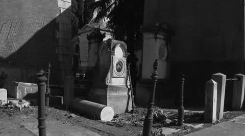 Old cemetery (B&amp;W) glidecam Stock Footage 9455349
