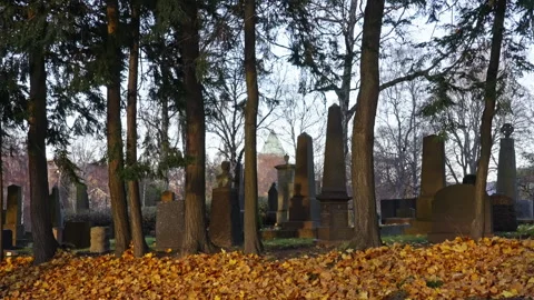 Old cemetery during fall with yellow leafs on the ground. Version 2 Stock Footage 290173770