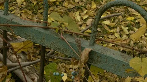 Old cemetery 스톡 동영상 12425017