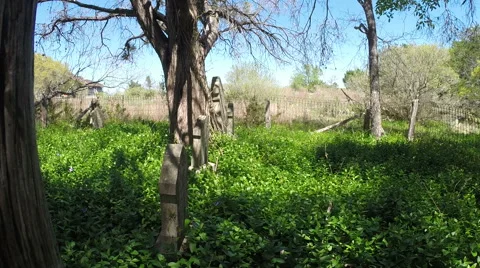 Old Cemetery Vídeo Stock 49061516