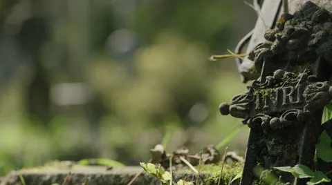Old cemetery Stock Footage 53512538
